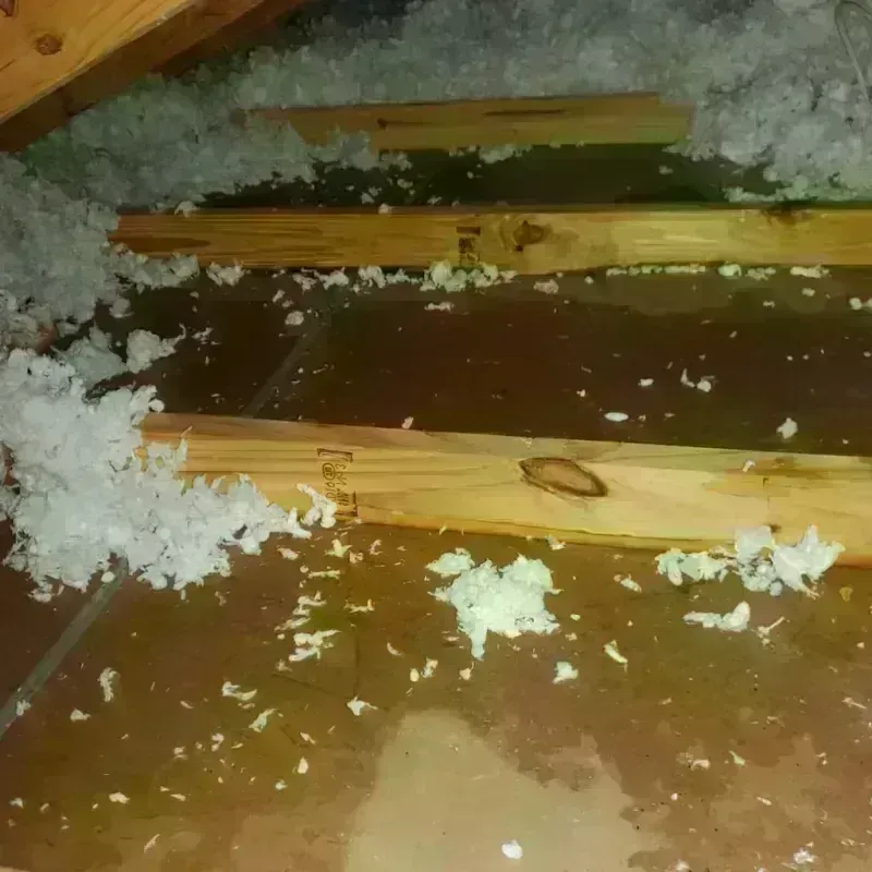 Attic Water Damage in Baltimore County, MD